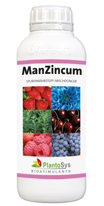 ManZincum