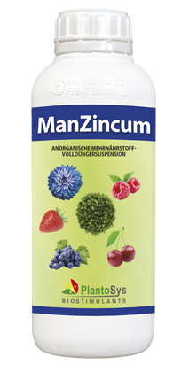 ManZincum