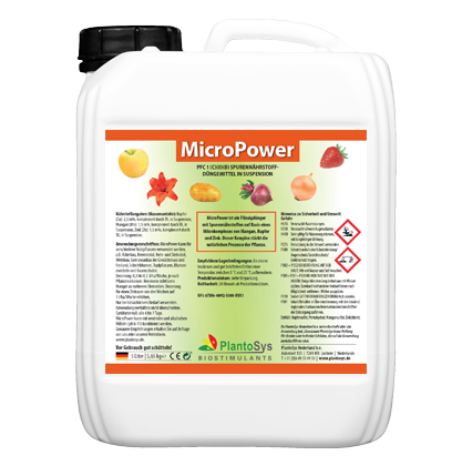 MicroPower