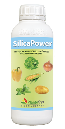 SilicaPower
