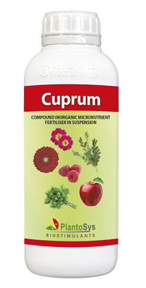 Cuprum