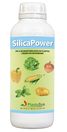 SilicaPower