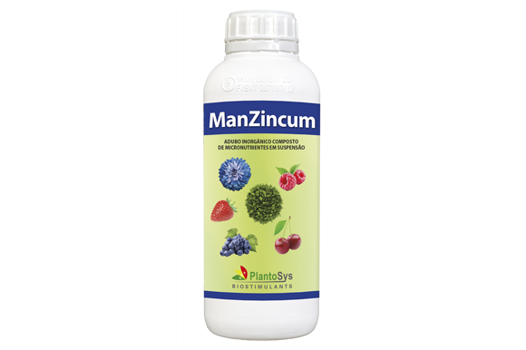 ManZincum
